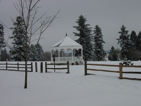 Snow 2008.jpg